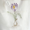 【NEW!!!】BRIGITTE TANAKA FLEURISTE BULBE 刺繍入りオーガンジーバッグ